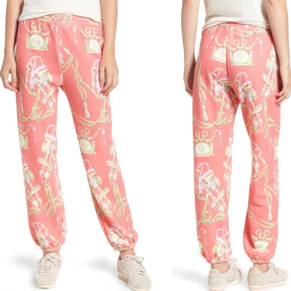 Wildfox Bits Bridle easy sweatpants